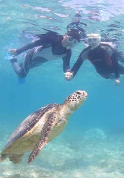 アマミエンシスに投稿された画像（2022/10/6）