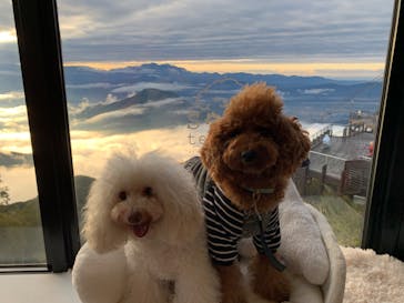 竜王マウンテンリゾート SORA terrace（ソラテラス）に投稿された画像（2022/10/6）