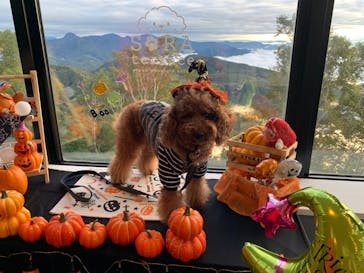 竜王マウンテンリゾート SORA terrace（ソラテラス）に投稿された画像（2022/10/6）