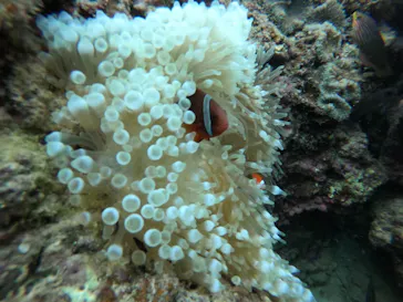 武藤潜水に投稿された画像（2022/10/7）