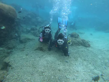 武藤潜水に投稿された画像（2022/10/7）