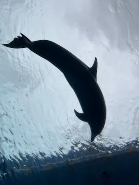 横浜・八景島シーパラダイスに投稿された画像（2022/10/7）