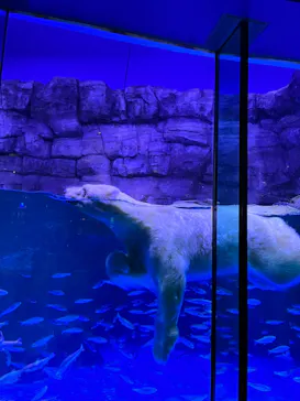 横浜・八景島シーパラダイスに投稿された画像（2022/10/7）