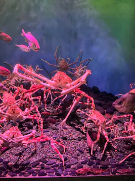 横浜・八景島シーパラダイスに投稿された画像（2022/10/7）