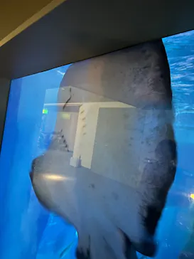 横浜・八景島シーパラダイスに投稿された画像（2022/10/7）