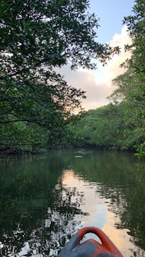 西表島 ADVENTURE PiPi（アドベンチャーピピ）に投稿された画像（2022/10/7）