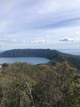 のぼりべつクマ牧場に投稿された画像（2022/10/7）