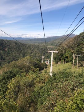 のぼりべつクマ牧場に投稿された画像（2022/10/7）