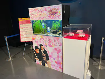 マクセル アクアパーク品川に投稿された画像（2022/10/7）