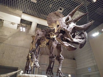 国立科学博物館に投稿された画像（2022/10/7）