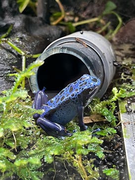 カワスイ 川崎⽔族館に投稿された画像（2022/10/7）