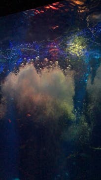 アクアワールド茨城県大洗水族館に投稿された画像（2022/10/7）