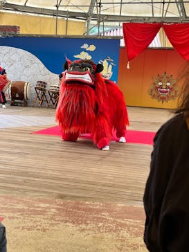 おきなわワールドに投稿された画像（2022/10/7）