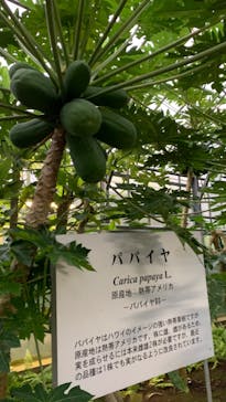 熱川バナナワニ園に投稿された画像（2022/10/7）