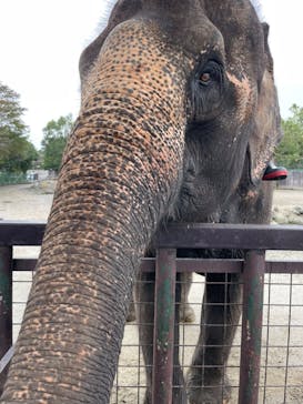 那須サファリパークに投稿された画像（2022/10/7）