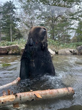 サホロリゾート　ベア･マウンテンに投稿された画像（2022/10/7）