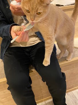 カワスイ 川崎⽔族館に投稿された画像（2022/10/7）