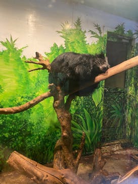 伊豆シャボテン動物公園に投稿された画像（2022/10/7）