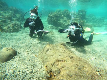 沖縄マリンサービス碧に投稿された画像（2022/10/8）