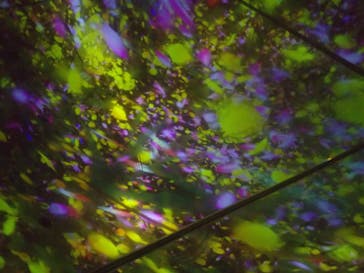 チームラボプラネッツ TOKYO DMMに投稿された画像（2022/10/8）