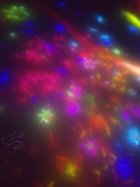 チームラボプラネッツ TOKYO DMMに投稿された画像（2022/10/8）