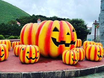 伊豆シャボテン動物公園に投稿された画像（2022/10/8）