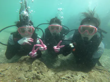 武藤潜水に投稿された画像（2022/10/8）