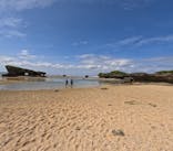 DIVING-SHOP SUNSに投稿された画像（2022/10/8）