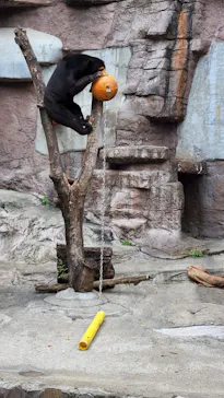 天王寺動物園に投稿された画像（2022/10/8）