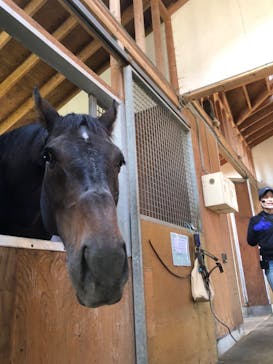 ノーザンホースパークに投稿された画像（2022/10/8）