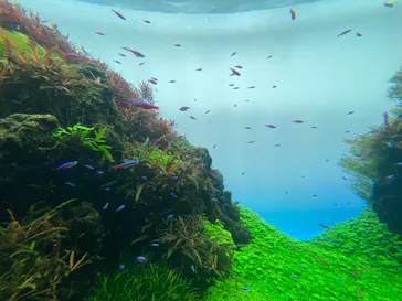 すみだ水族館に投稿された画像（2022/10/8）