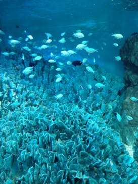 サンシャイン水族館に投稿された画像（2022/10/8）