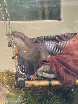 サンシャイン水族館に投稿された画像（2022/10/8）