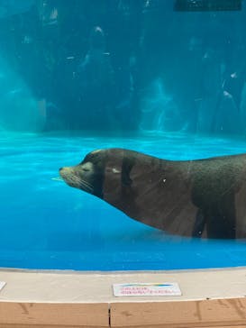 サンシャイン水族館に投稿された画像（2022/10/8）
