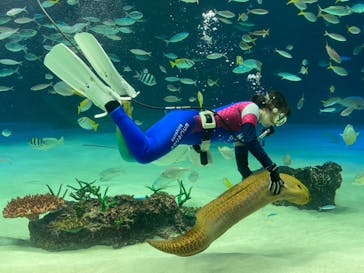 サンシャイン水族館に投稿された画像（2022/10/8）