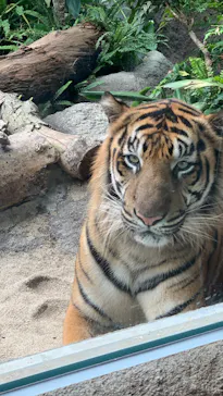 神戸どうぶつ王国に投稿された画像（2022/10/8）