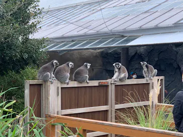 神戸どうぶつ王国に投稿された画像（2022/10/8）