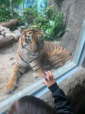 神戸どうぶつ王国に投稿された画像（2022/10/8）