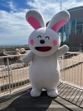 アクアワールド茨城県大洗水族館に投稿された画像（2022/10/8）