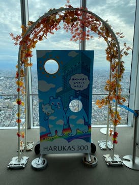 ハルカス300(展望台)に投稿された画像（2022/10/8）