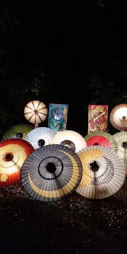 大山ツアーデスクに投稿された画像（2022/10/8）