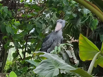 神戸どうぶつ王国に投稿された画像（2022/10/8）