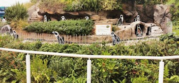 サンシャイン水族館に投稿された画像（2022/10/8）