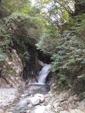 一般社団法人グリーンクリエイティブいなべに投稿された画像（2022/10/8）