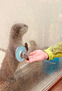 横浜・八景島シーパラダイスに投稿された画像（2022/10/8）