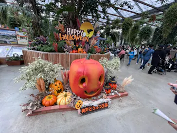 神戸どうぶつ王国に投稿された画像（2022/10/8）