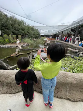 神戸どうぶつ王国に投稿された画像（2022/10/8）