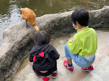 神戸どうぶつ王国に投稿された画像（2022/10/8）