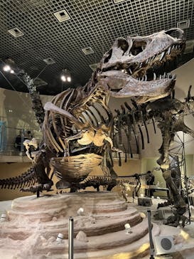 国立科学博物館に投稿された画像（2022/10/8）