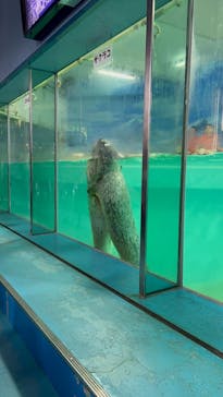 下田海中水族館に投稿された画像（2022/10/8）